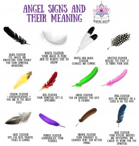 feathers