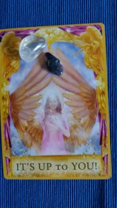 20161022_131505_resized