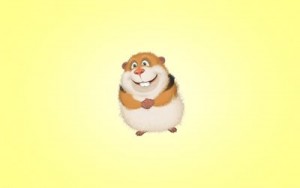 thumb-guinea-pig-minimalism-guinea-pigs