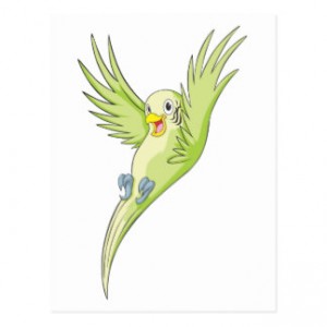 glatt_undulat_budgie_vykort-rd8fc6f0bc20c4ebc909228d8110e770e_vgbaq_8byvr_324
